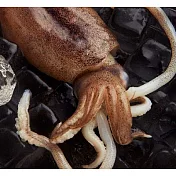 【吉品養生】安心水產_野生軟絲(350g)