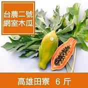 【一籃子】網室栽培高雄田寮【台農二號木瓜】6斤