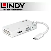 LINDY 林帝 主動式 USB3.1 Type-C to HDMI/DVI/VGA 三合一轉接器 (43273)