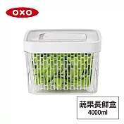 美國OXO 蔬果活性碳長鮮盒-4L 01040140