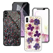 CITYBOSS for iPhone XsMax 繽紛星夜全包防滑保護殼-金色飛燕 碎紅 兩款任選碎紅