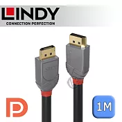 LINDY 林帝 ANTHRA DisplayPort 1.4版 公 to 公 傳輸線 1m (36481)