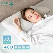 Beroso超值兩入組-台灣SGS檢驗合格護頸防鼾記憶枕 金絲款