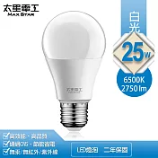 【太星電工】25W超節能LED燈泡(白光) A825W