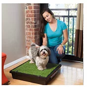 美國 the Pet Loo 寵物便盆訓練箱