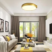 H&R安室家 LED麵包吸頂燈 ZA0061古銅金