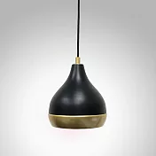 H&R安室家 矽谷吊燈 ZA0092