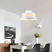 H&R安室家 32x17cm小款音樂會吊燈 ZA0107