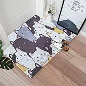 【巴芙洛】超大北歐風刮泥可裁剪絲圈門口地墊50x80cm聚會