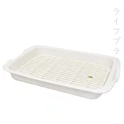 美廚/淺型瀝水盤-2入組