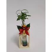 耶誕鈴鐺水晶植栽-上