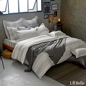 義大利La Belle《北歐之旅》雙人純棉防蹣抗菌吸濕排汗兩用被床包組