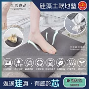 2件超值組【生活良品】頂級超強吸水瞬乾不破珪藻土矽藻土軟地墊(寵物除臭墊-加贈布套)深灰色*2組