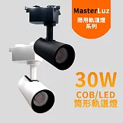 MasterLuz-30W RICH LED COB商用筒形軌道燈-白殼黃光
