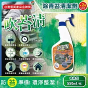 (2瓶超值組)吹苔清-戶外園藝青苔清潔劑550ml/噴槍瓶(園藝植栽清潔,公園/人行道/頂樓/戶外傢俱/外牆/石雕/柵欄/花園造景/戶外清潔洗劑)