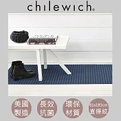 【chilewich】美國抗菌環保地墊 玄關墊61x183cm直條紋 莓果籃