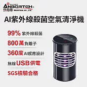 【安伯特】神波源 AI紫外線殺菌 車用空氣清淨機 USB供電 紫外線殺菌 負離子淨化