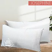 【JOSEPHINE約瑟芬】MIT臺灣製 石墨烯透氣舒柔枕頭 8463