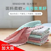 PinUpin 【加大版10條】加厚雙色雙面吸水洗碗布/不沾油擦手巾/桌布毛巾廚房抹布 25X25CM 顏色隨機