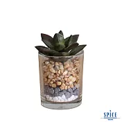 【SPICE】日本超模擬 人造綠色植物(多肉植物)- 玻璃盆栽C