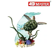 【4D Master】672403 立體拼組模型 動物系列 情境海龜