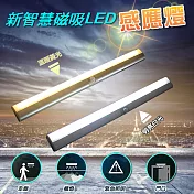新智慧磁吸LED感應燈(2入組) 正白光*2