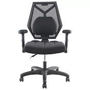 DR. AIR 升降椅背人體工學氣墊辦公網椅-黑