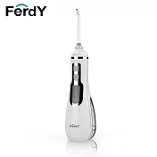 美國FerdY 攜帶型沖牙機FD-P100