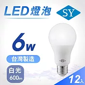 12入【SY 聲億】6W LED高效能廣角燈泡 -白光