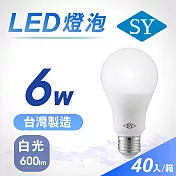 40入【SY 聲億】6W LED高效能廣角燈泡 -白光