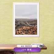 台製 Joy 53X1000cm 壁紙1卷(4色選） 88022