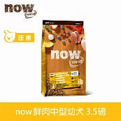 Now! 幼犬/懷孕犬鮮肉配方 3.5磅 狗狗無穀天然糧 | 狗糧 狗飼料 火雞 鴨肉 鮭魚 挑嘴