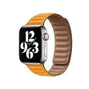 Promate Apple Watch 38/40mm 高質感磁吸式錶帶(Maglet) 黃