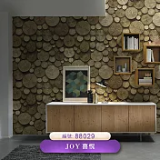台製 Joy 53X1000cm 壁紙3卷(2色選）88029 -