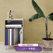 台製 IVY常春藤 環保無毒 防燃耐熱 53X1000cm 壁紙1卷(4色選） 68690
