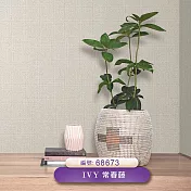 台製 IVY常春藤 環保無毒 防燃耐熱 53X1000cm 壁紙1卷(3色選） 68673