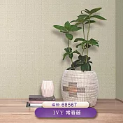 台製 IVY常春藤 環保無毒 防燃耐熱 53X1000cm 壁紙3卷(3色選） 68567