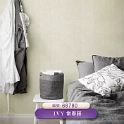 台製 IVY常春藤 環保無毒 防燃耐熱 53X1000cm 壁紙3卷(5色選） 68780