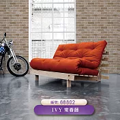 台製 IVY常春藤 環保無毒 防燃耐熱 53X1000cm 壁紙1卷(5色選） 68802