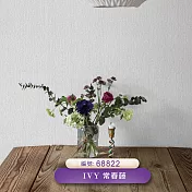 台製 IVY常春藤 環保無毒 防燃耐熱 53X1000cm 壁紙1卷(6色選） 68822