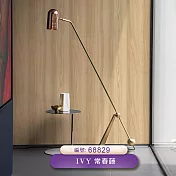 台製 IVY常春藤 環保無毒 防燃耐熱 53X1000cm 壁紙1卷(6色選） 68829