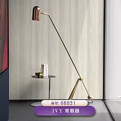 台製 IVY常春藤 環保無毒 防燃耐熱 53X1000cm 壁紙1卷(6色選） 68831