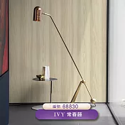 台製 IVY常春藤 環保無毒 防燃耐熱 53X1000cm 壁紙3卷(6色選） 68830