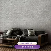 台製 IVY常春藤 環保無毒 防燃耐熱 53X1000cm 壁紙3卷(3色選） 68838