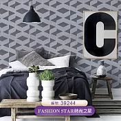 臺製 時尚之星 Fashion Star 環保無毒 防燃耐熱 53X1000cm 桌布1卷(5色選） 39244