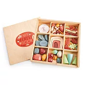 【美國Tender Leaf】秘密森林藏寶盒(啟蒙遊戲)