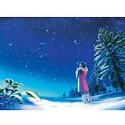 【台製拼圖】HM520-096 夜光-冬-雪夜景 (520片)