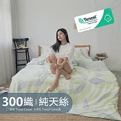《BUHO》台製300織100%TENCEL純天絲™床包枕套三件組-雙人 《萬象流影》
