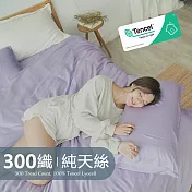 《BUHO》素面文青300織100%TENCEL純天絲™床包枕套三件組-雙人 《藤花紫》