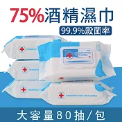 CS22 DISINFECTION大包裝75%酒精高效消毒滅菌濕紙巾(80抽x3包) 白色